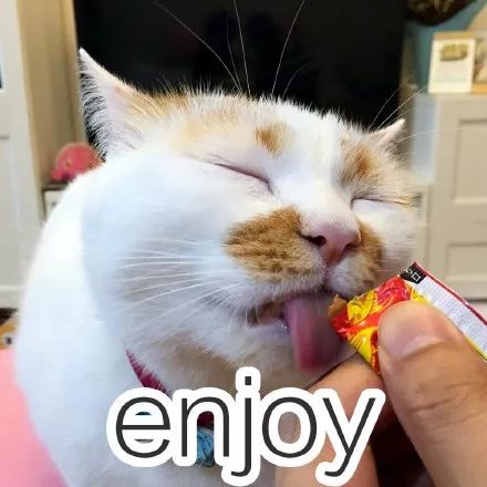 2017年度表情包大赏小猪佩奇,笑着活下去,边缘试探.你最爱