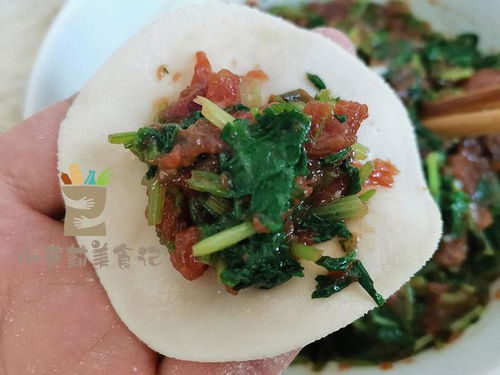 一润肺,二抗菌,三补血,四增免疫,入冬后,用来包饺子吃真香啊香菜肉馅馅料猪肉蒸食前菜小麦饺子馅东北食品适量清水网易订阅