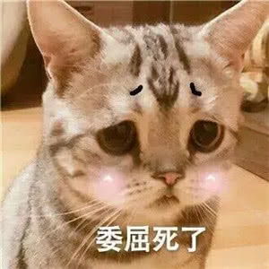 十条段子是不是帅哥,剪个平头是不是美女,卸了妆就知道了