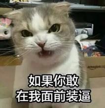 来一发萌宠表情包,有要的收藏啦
