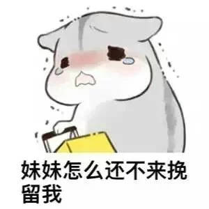 可爱仓鼠兄妹表情包