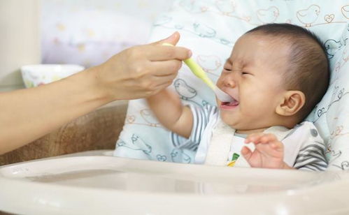 隔离断奶对娃的伤害有多大科学做法分4步,宝宝接受度更高