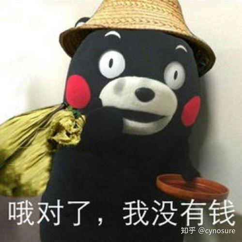 如何看待b站的醒目留言