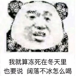 表情包丨我就算冻死在冬天里也要说,阔落不冰怎么喝