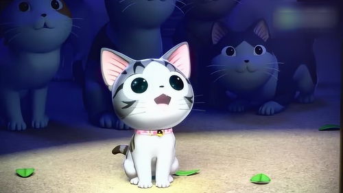 甜甜私房猫哇,好美呀