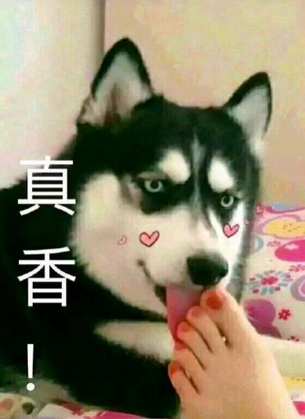 梦幻西游科普娱乐篇钟馗捉鬼任务的鬼名都是什么意思