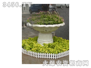 绿巨人夏堇彩叶