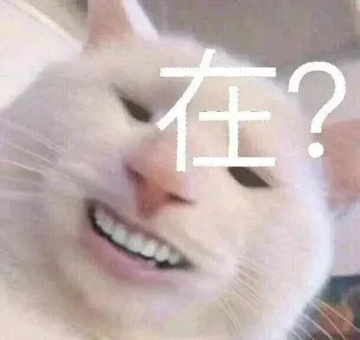 表情包不要搞我了好不好