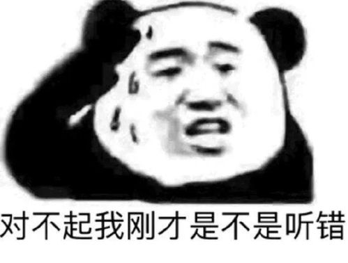 日常搞笑熊猫头表情包