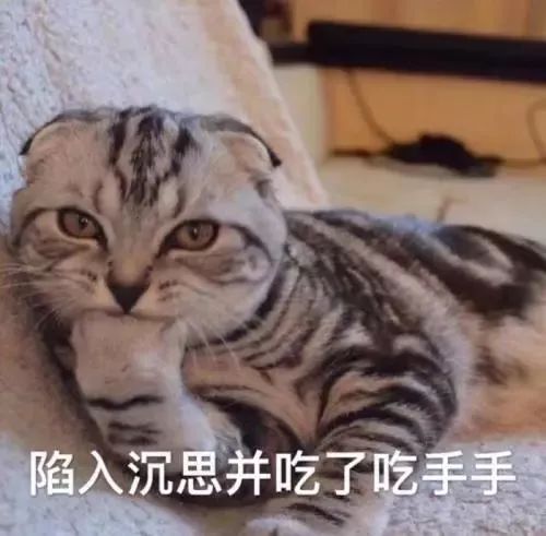 行吗的表情包钠离子电池