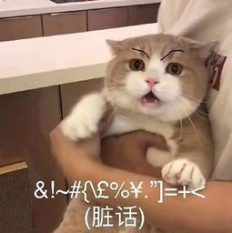 这位老艺术家也翻车了即将凉凉