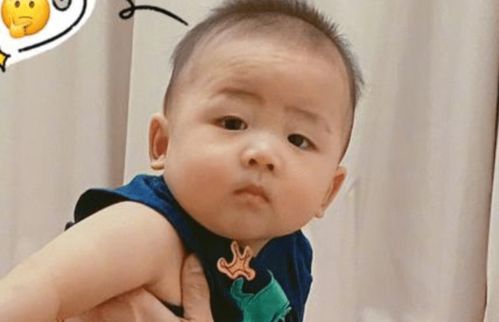 蔡少芬小儿子露正脸,呆萌表情抢c位,老爸张晋为他伴舞