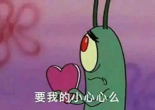 给你我的小心心表情包养猫