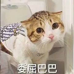 微信又又又更新了,这次我裂开