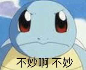 不妙啊不妙杰尼龟表情包不妙杰尼龟表情