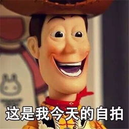 这是我今日的自拍表情包朋友圈配图自拍搞笑表情图片