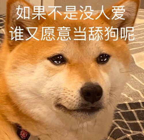 我迷糊中把脚放进去,果然劲很大,我也是服了