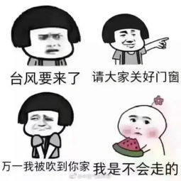 红色预警17级超强台风横扫包邮区