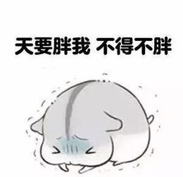 当你决定不再在乎的时候,生活就好起来了