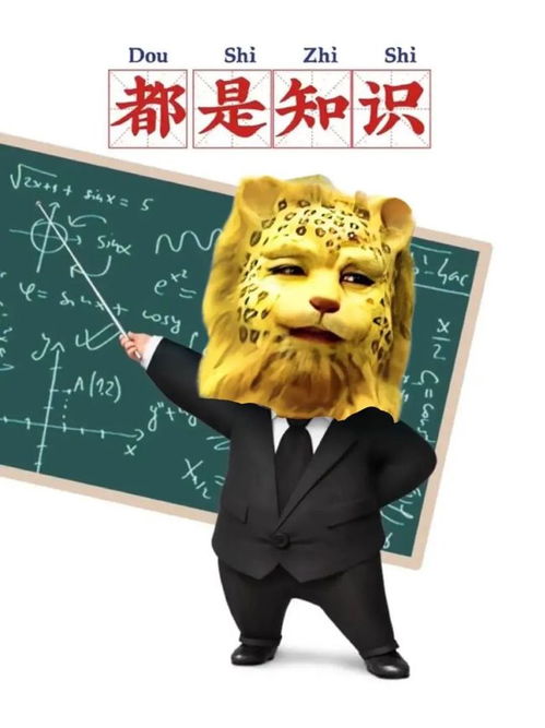 听说最近这玩意挺火啊啊啊啊啊啊啊