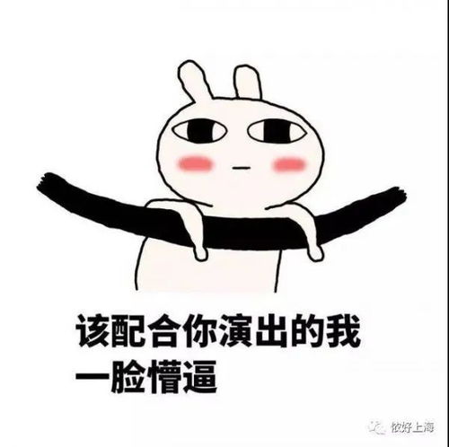 揭秘秋天的第一杯奶茶隐藏的小秘密