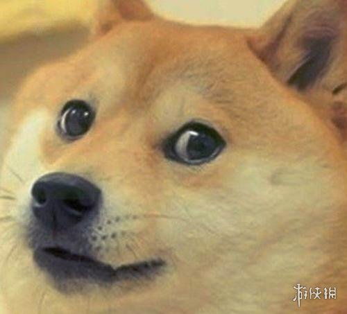 狗头的表情包什么意思狗头