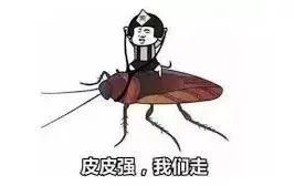这届狠人,已经开始喝蟑螂汁了