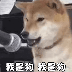 舔狗系列表情包合集我要做你的专属舔狗