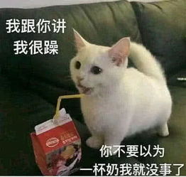 最近超火的敲可爱表情包,甜到爆,单身狗想谈恋爱了