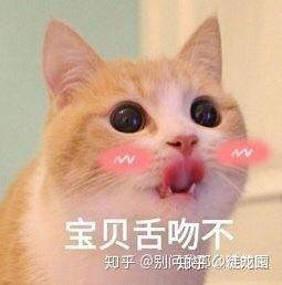 有哪些适合给女朋友用的表情包