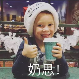 2017年度表情包大赏小猪佩奇,笑着活下去,边缘试探.你最爱