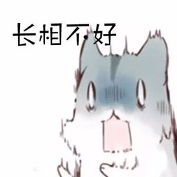 可爱的仓鼠表情包