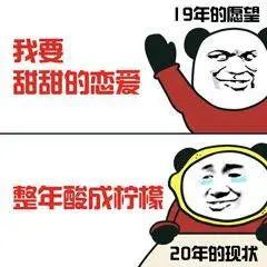 书法表情包下厨