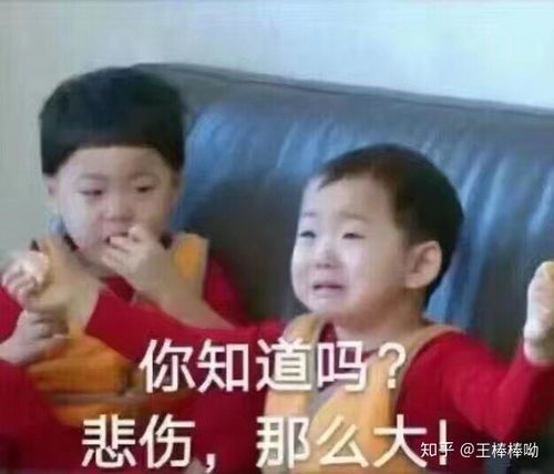 送给所有男孩和女孩