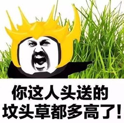 坑这么深,要怎么填
