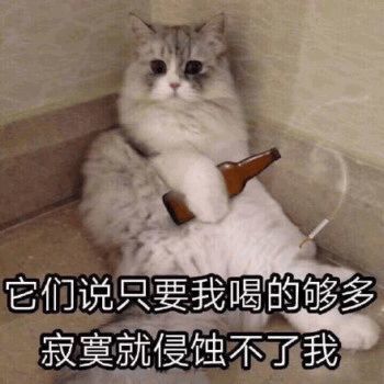 春运倒计时这些新变化你还不知道