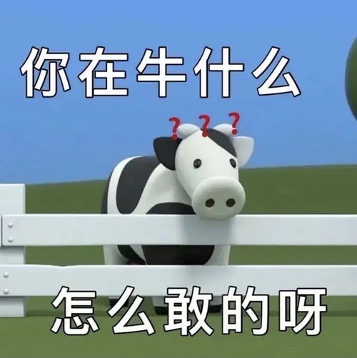 关于我人菜但心血来潮帮斑叽剪刘海这回事