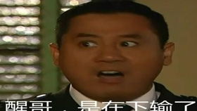 如何导入音色到flstudio预制音色和音色包导入都有带下载huyuxin