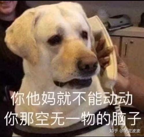 王者荣耀上有没有直接奔现的cp情侣