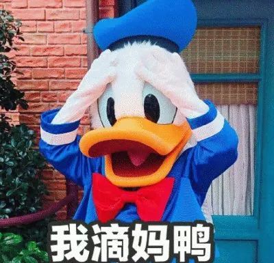 没有一只鸭子,能活着游出新街口地铁站