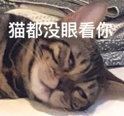 表情包不哭,哥有糖