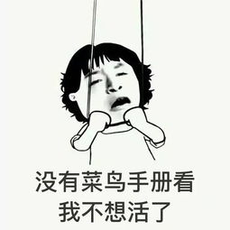 传授你一本表情包秘籍,包你斗图百战百胜