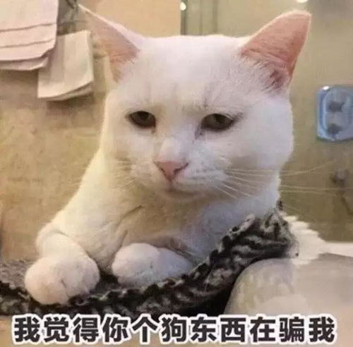 表情包你已经一天没有说爱我了