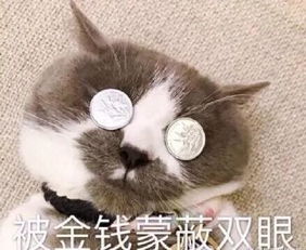 说好不哭,可我为啥就是忍不住啊