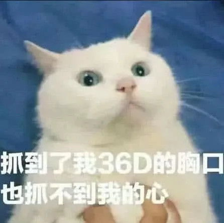 5张小羞流行表白表情包撩不倒ta我算输网友必学
