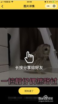 如何用微信小程序闪萌表情搜索gif表情