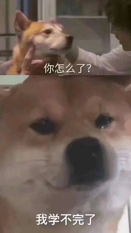 那个男人他带着vue3来了