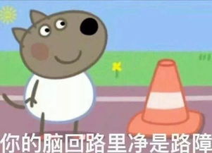 你见过哪些戏精一样的人比杨夫人出戏10000倍