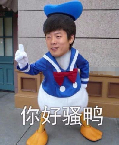 丑鸭子表情包唐老鸭