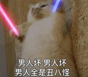 抖音表情包动图荧光棒打call,荧光棒的猫咪